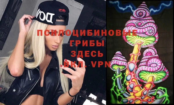 амф Абинск