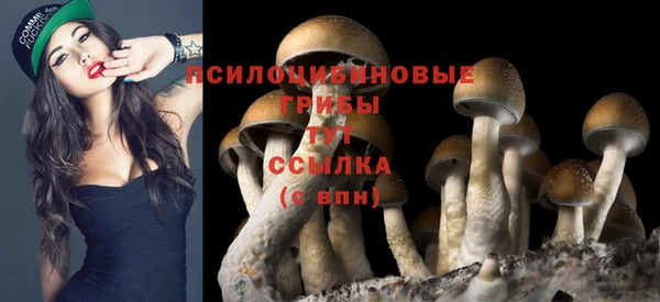 MDMA Premium VHQ Абдулино