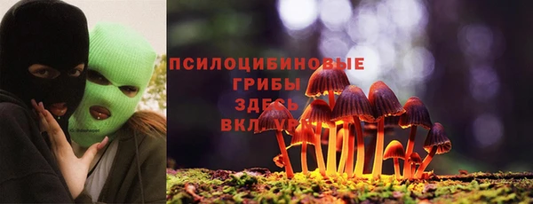 амф Абинск