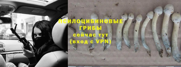 гашиш Абаза