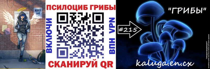 Псилоцибиновые грибы Psilocybe  Советск 